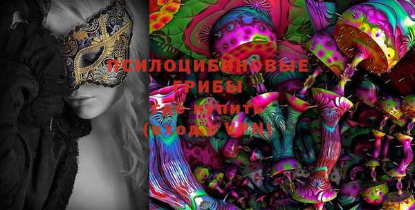 каннабис Дмитриев